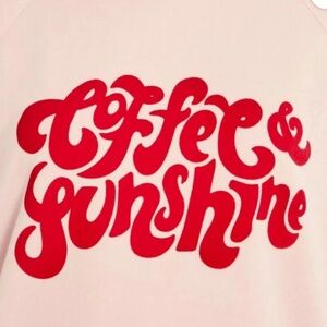 Wildfox "Coffee & Sunshine" Pink French Terry Sweatshirt Small